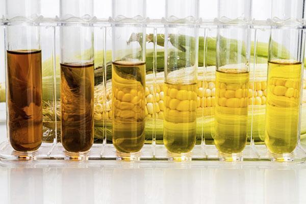 tipos de aceite de maíz