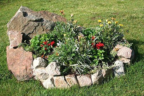 mini-jardin sur la parcelle