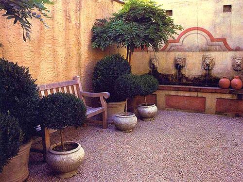 arbres et arbustes en pot