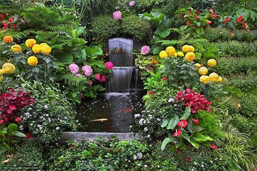 beau jardin dans la cour