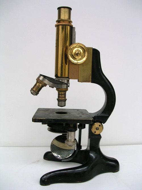 microscope