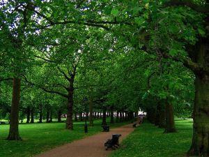 Parc de Moscovie