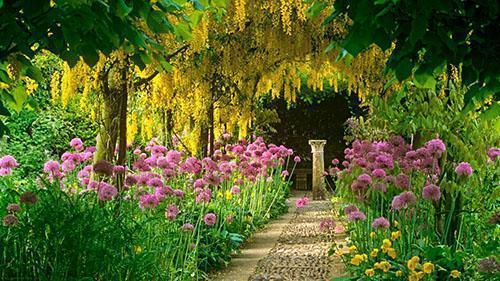 jardin parfumé en fleurs