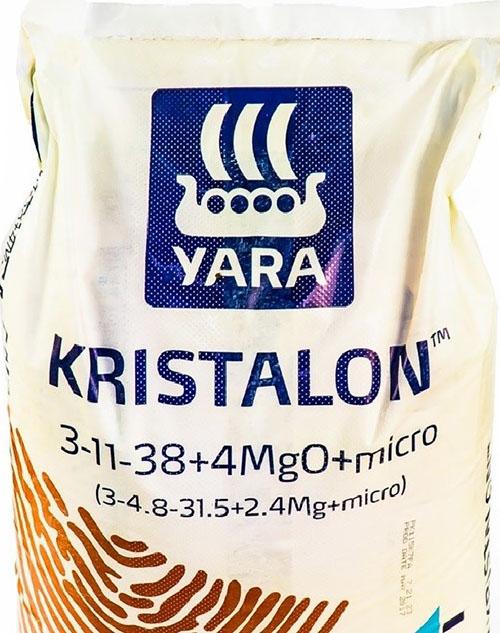 cristal marron
