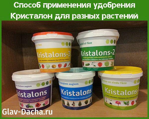 méthode d'application de l'engrais Kristalon