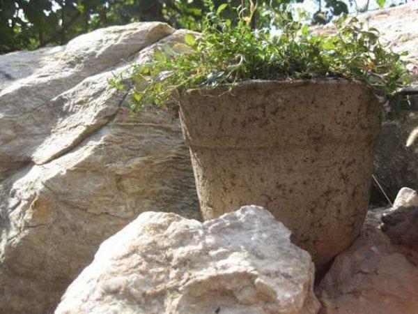 jardinière simple en ciment