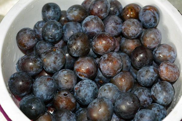 ordenar las ciruelas rebeldes y lavar bien
