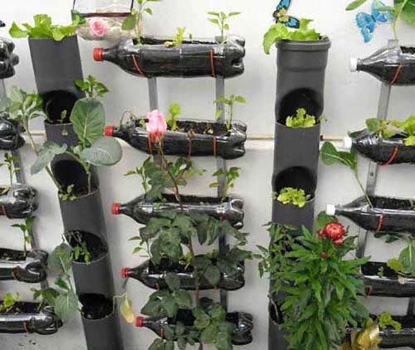 mini-camas de botellas