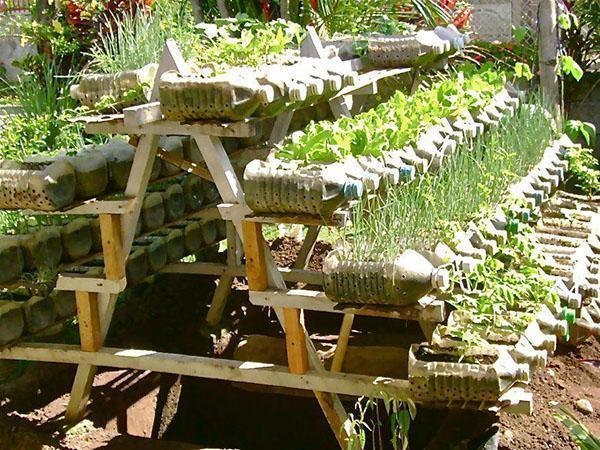 uso de botellas de plástico en el país