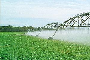 Irrigation par aspersion