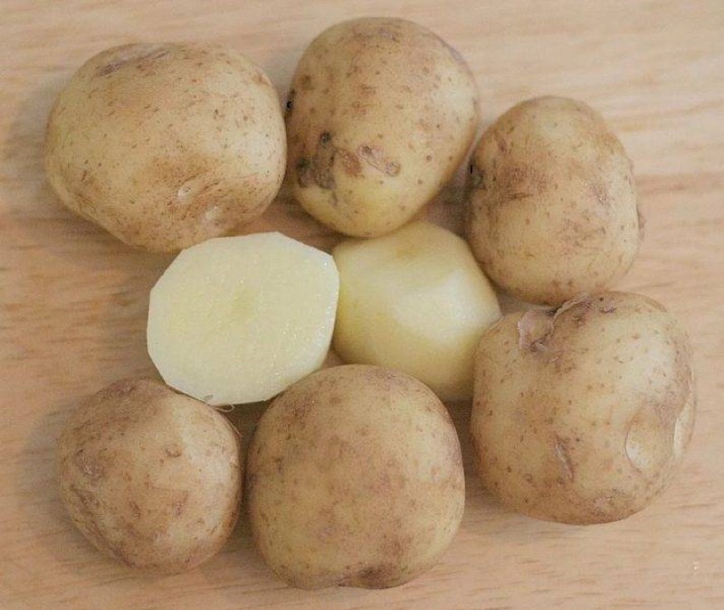 tubercules de pomme de terre lorch