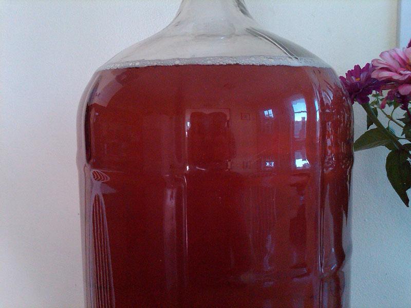 fermentación de hidromiel de cereza