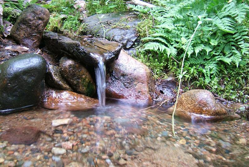 agua de manantial para hidromiel