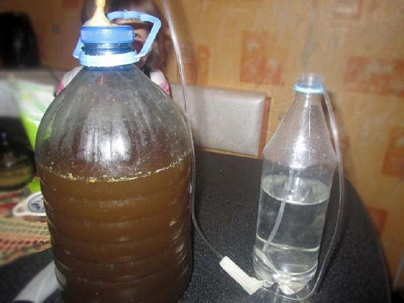 proceso de fermentación de hidromiel