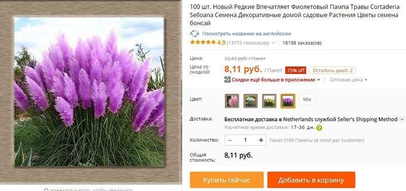 graines sur Aliexpress