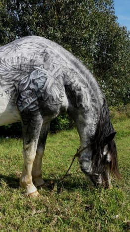 الصورة عبر BenjaminLloydCollection استنادًا إلى الصور السابقة التي نشرها Lloyd ، فإن وشم الحصان الأخير هذا ليس غزوته الأولى في الخيول