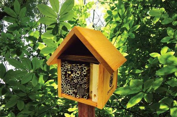 hotel de abejas