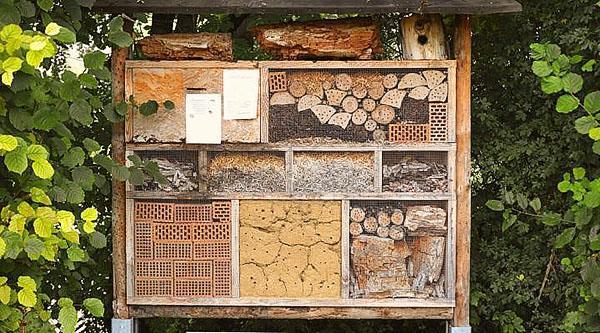 construcción de casas para abejas individuales
