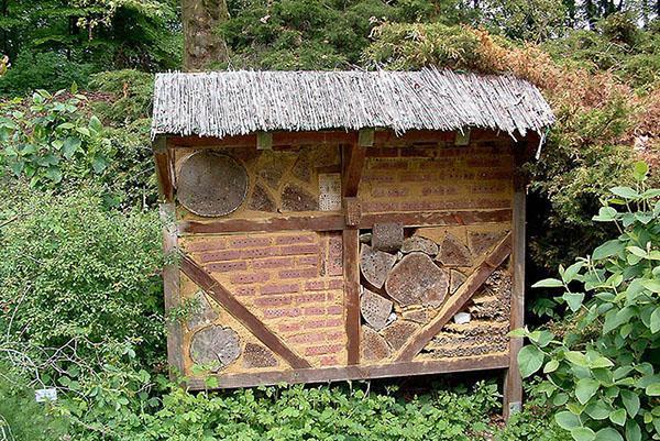 casa para abejas en el bosque