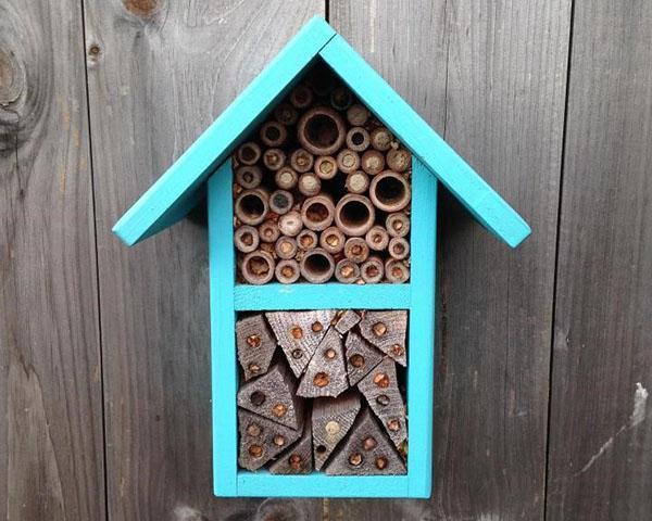 maison pour abeilles célibataires