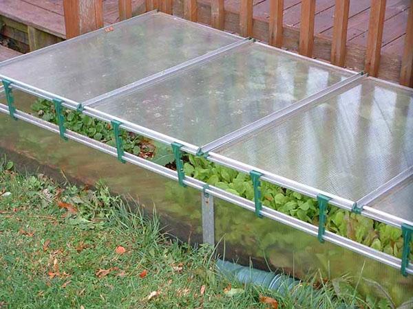 invernadero de plástico en forma ligeramente abierta