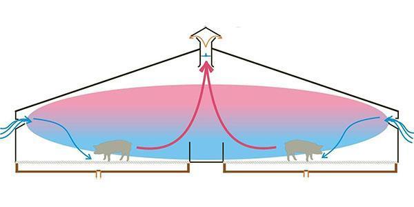 Aménagement de la ventilation dans la porcherie