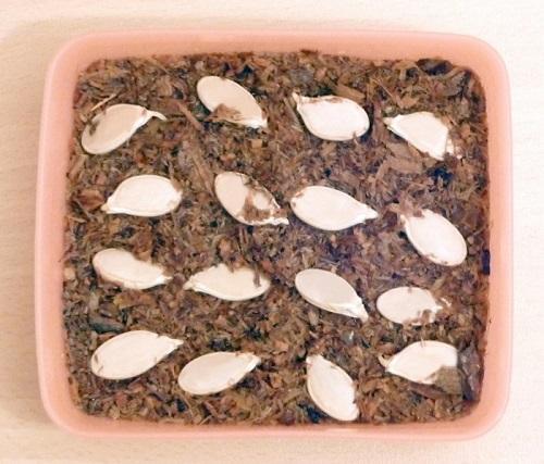 germination des graines de courgettes dans la sciure de bois