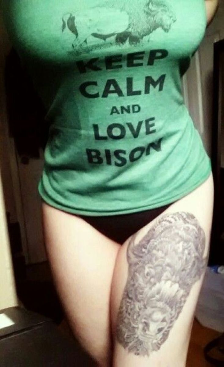 Bison