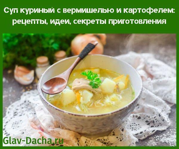 sopa de pollo con fideos y patatas