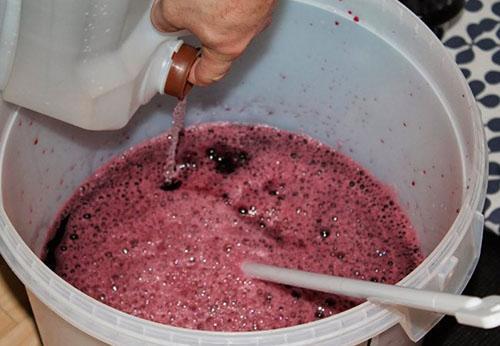 hacer mosto de mermelada, agua, azúcar y pasas