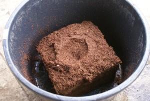 briquetas de coco