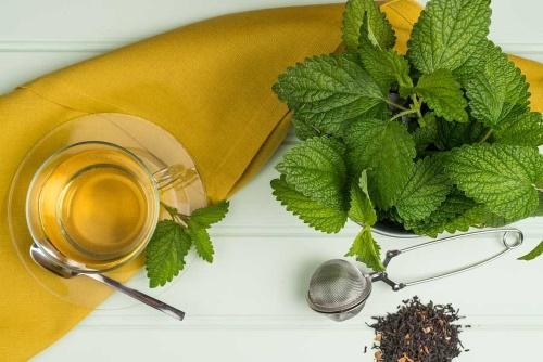propiedades del bálsamo de limón en el té