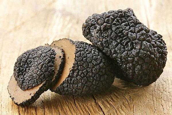 truffe cultivée
