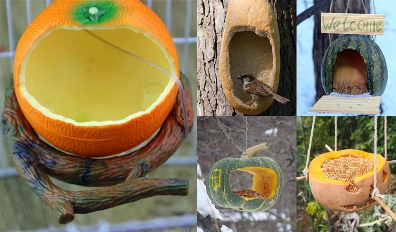 mangeoires pour oiseaux fruits et légumes