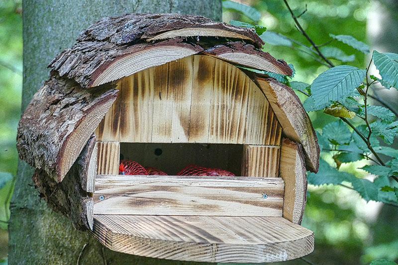 comederos para pájaros de madera natural