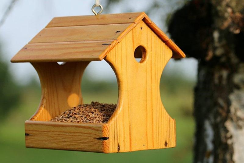 la mangeoire est prête pour l'arrivée de l'oiseau