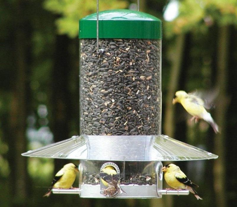 comederos tipo bunker para pájaros