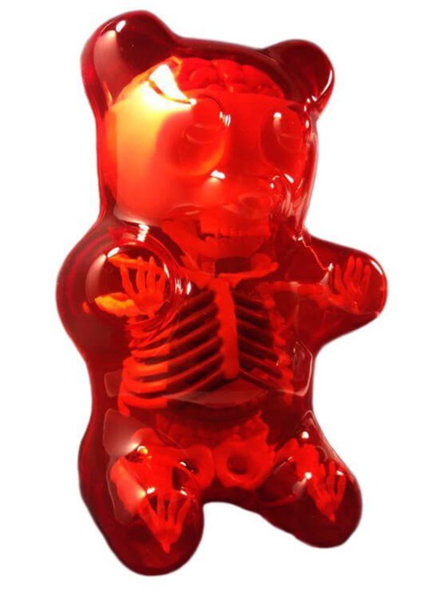 anatomie gumový medvěd červený
