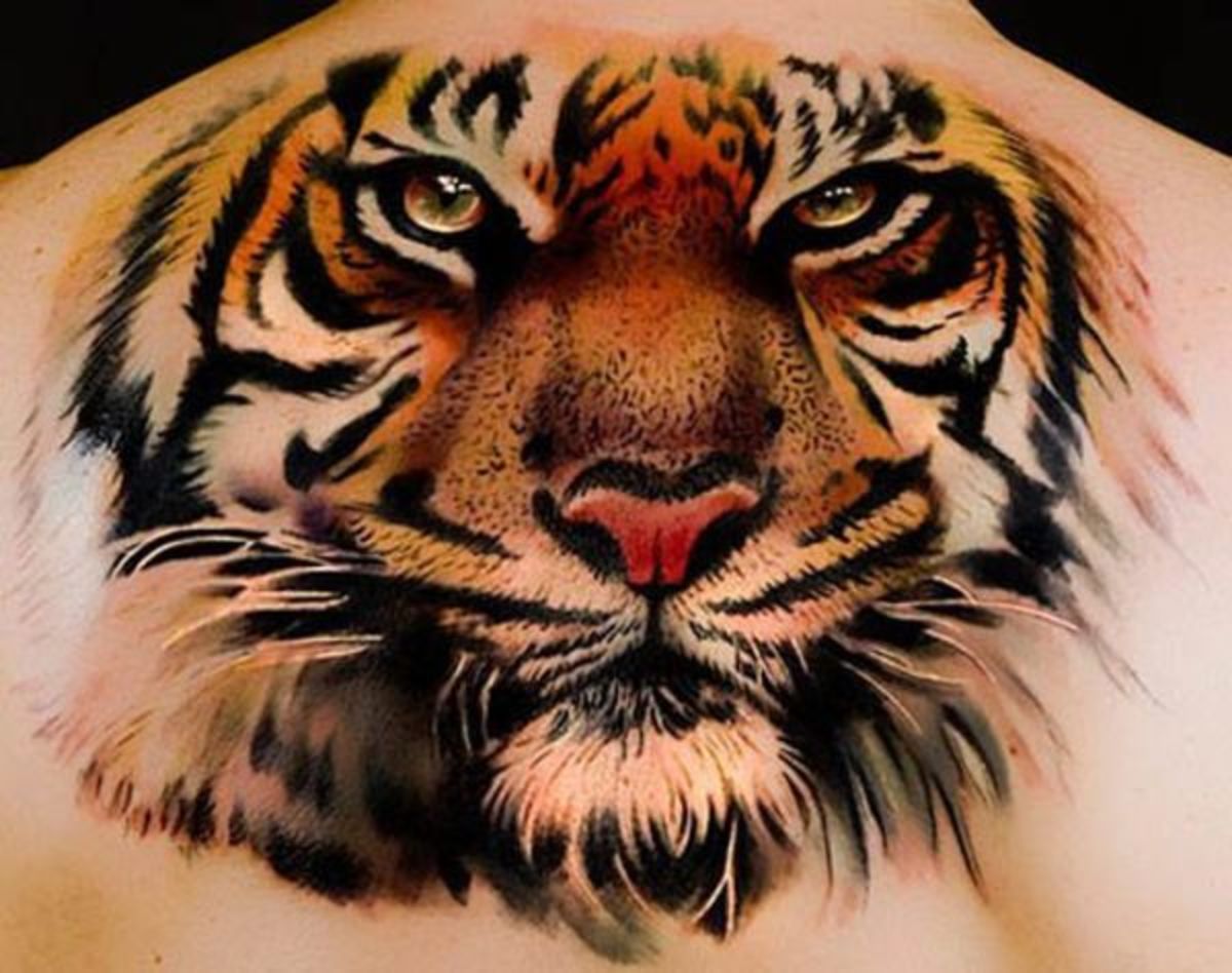الفنان - andrea_afferni - Real-tiger-tattoo_0011347701737