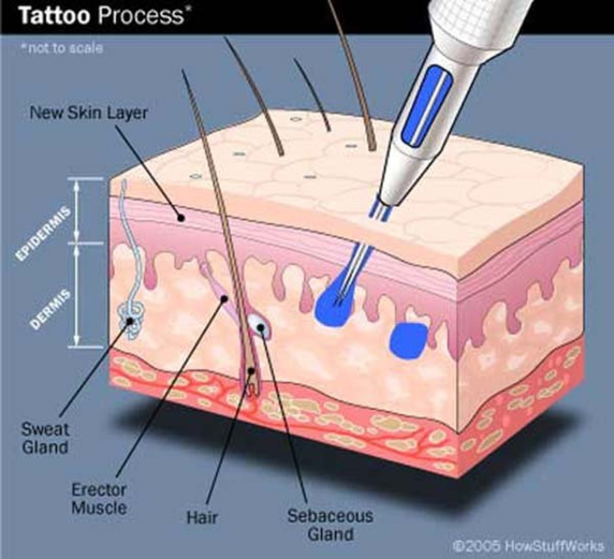 Tattoo-Diagramm-1