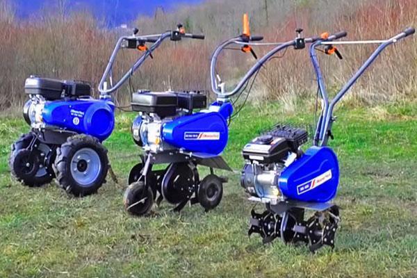 cultivateurs de MasterYard