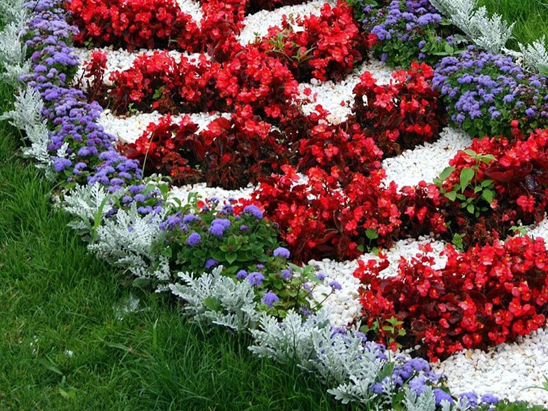 cama de flores brillante