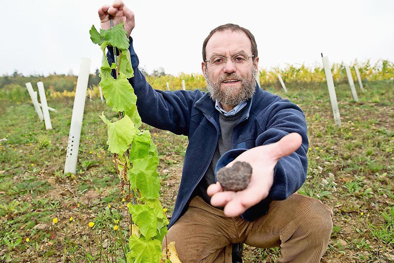 technologie pour cultiver des truffes à la maison