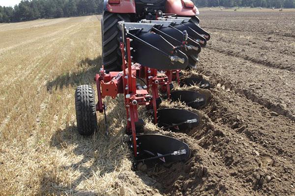 arando un campo para el trigo sarraceno