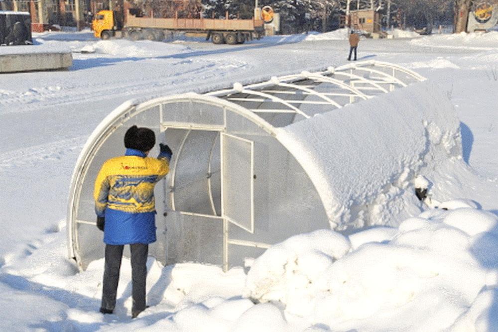 invernadero de cultivo temprano