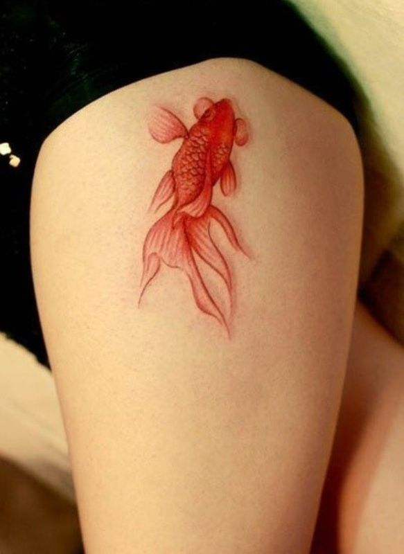 Die coolsten Koi-Fisch-Tattoo-Designs, die Sie gesehen haben