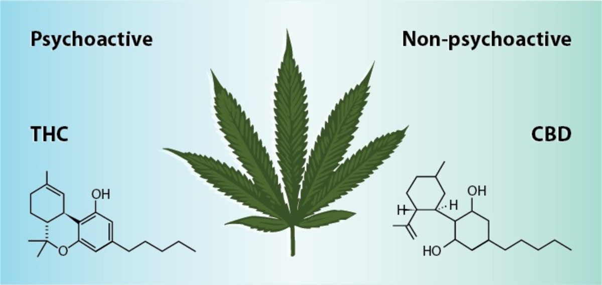 What_is_CBD-sample1