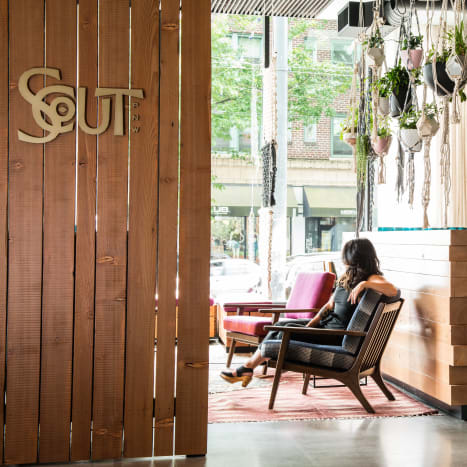 (Scout. Foto: Thompson Seattle)