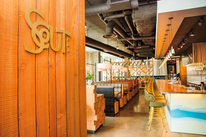 (Scout. Foto: Thompson Seattle)