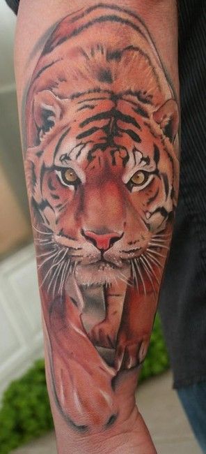 Tiger Tattoo Designs, die dich umhauen werden